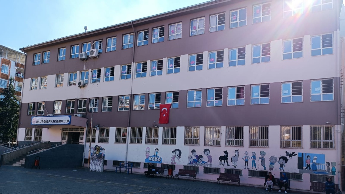 Halit Gülpınar İlkokulu Fotoğrafı